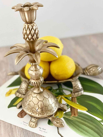 Pine Tortoise Vintage Brass Decorative Candle Holder