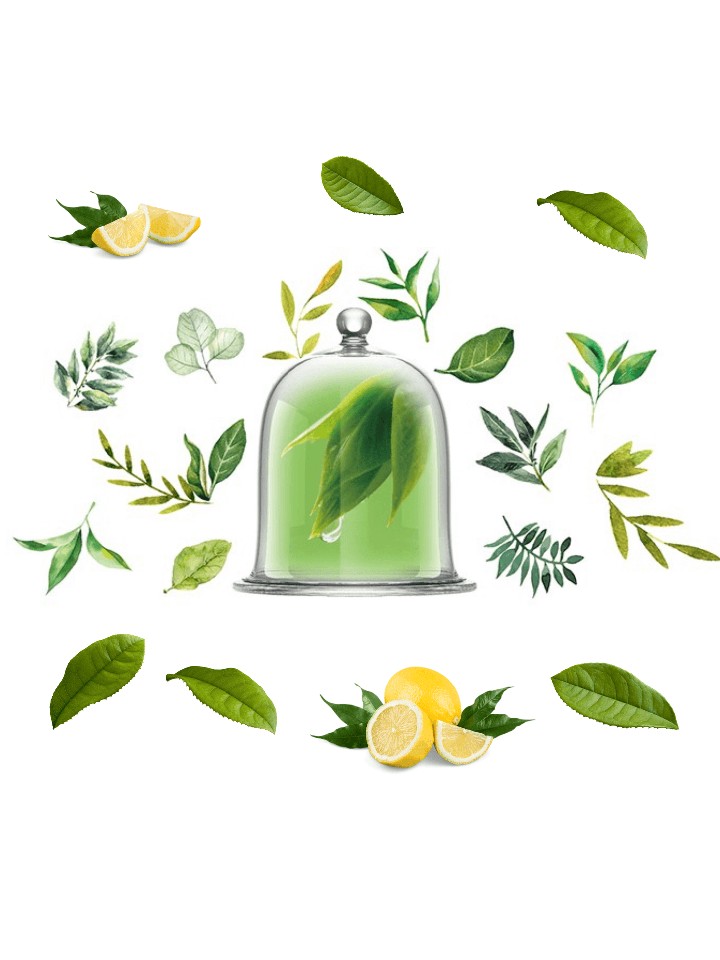 White Porcelain Diffuser Lemon & Green Tea by Chando