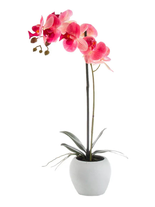 Blush Pink Orchid Plant Décor in Large White Stone Pot 54 cm