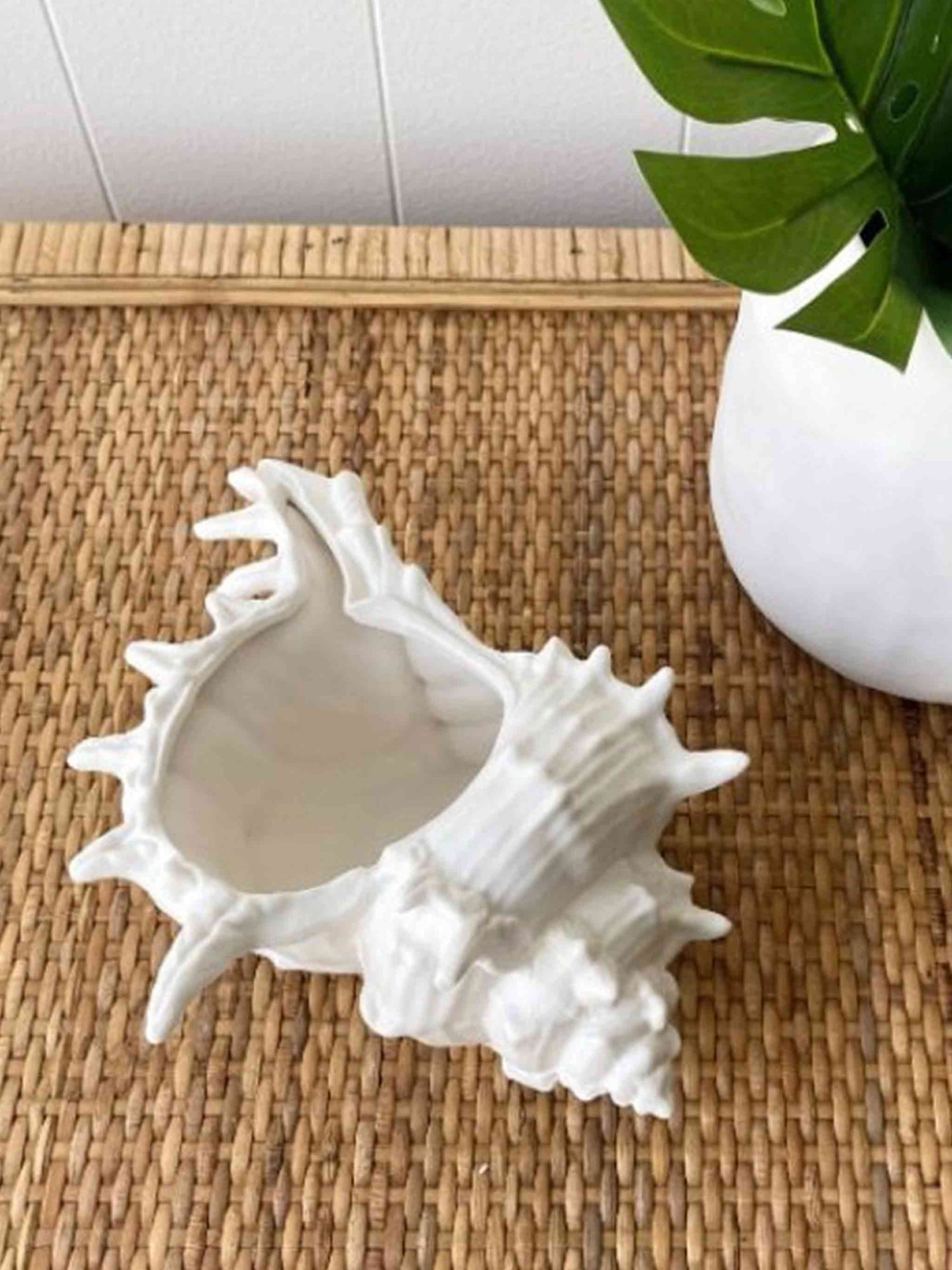 Seashell Trinket Bowl White Ceramic Decor 19cm
