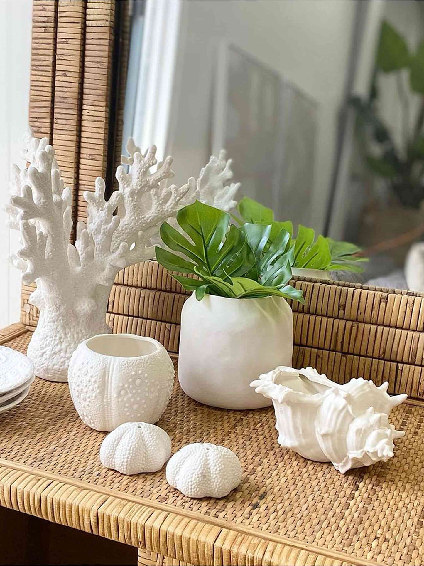 Ceramic Conch Seashell Décor Trinket Storage Bowl White 19cm