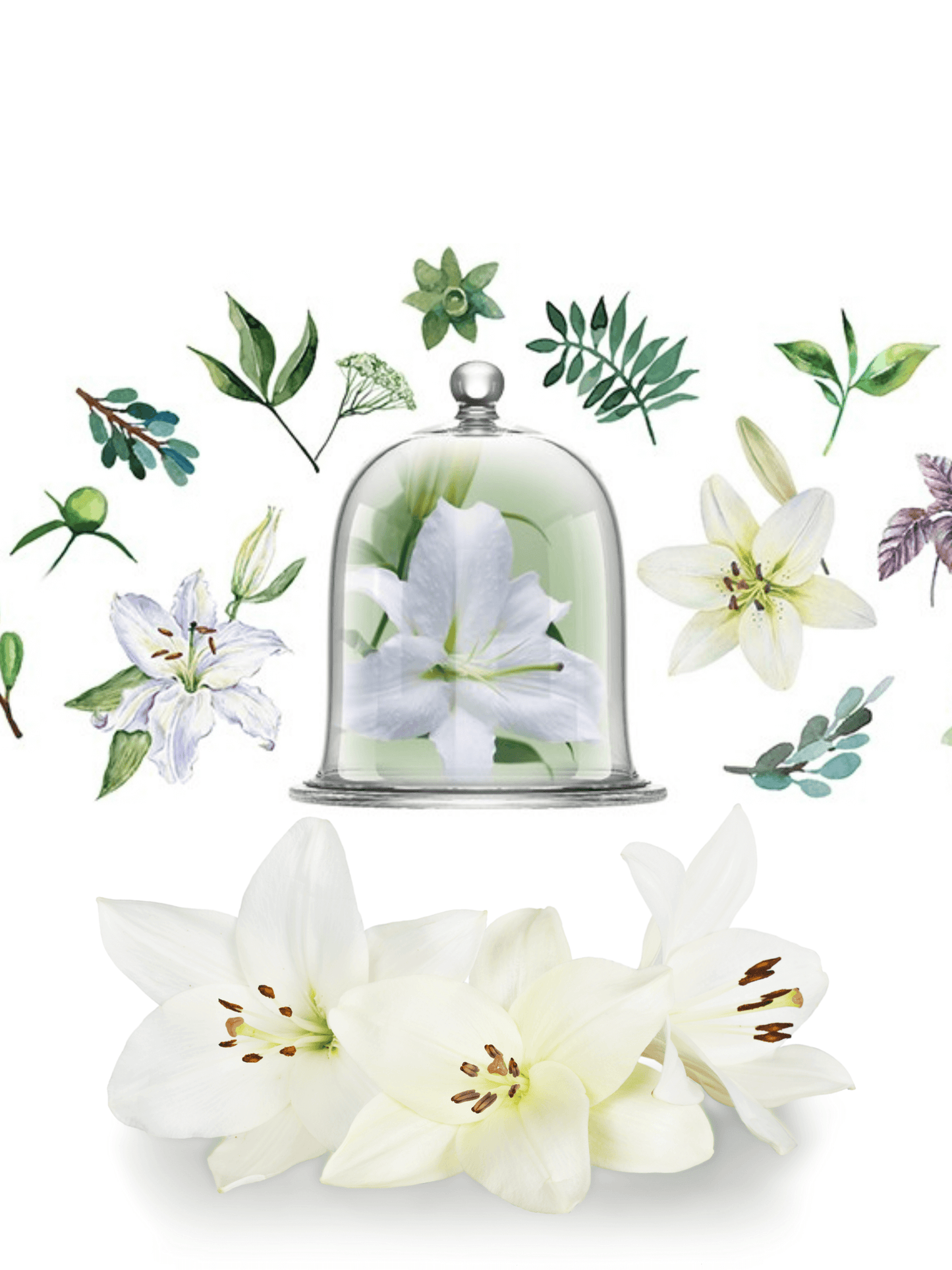 Porcelain Diffuser Fresh Lily Fragrance by Chando 100ml White/Green