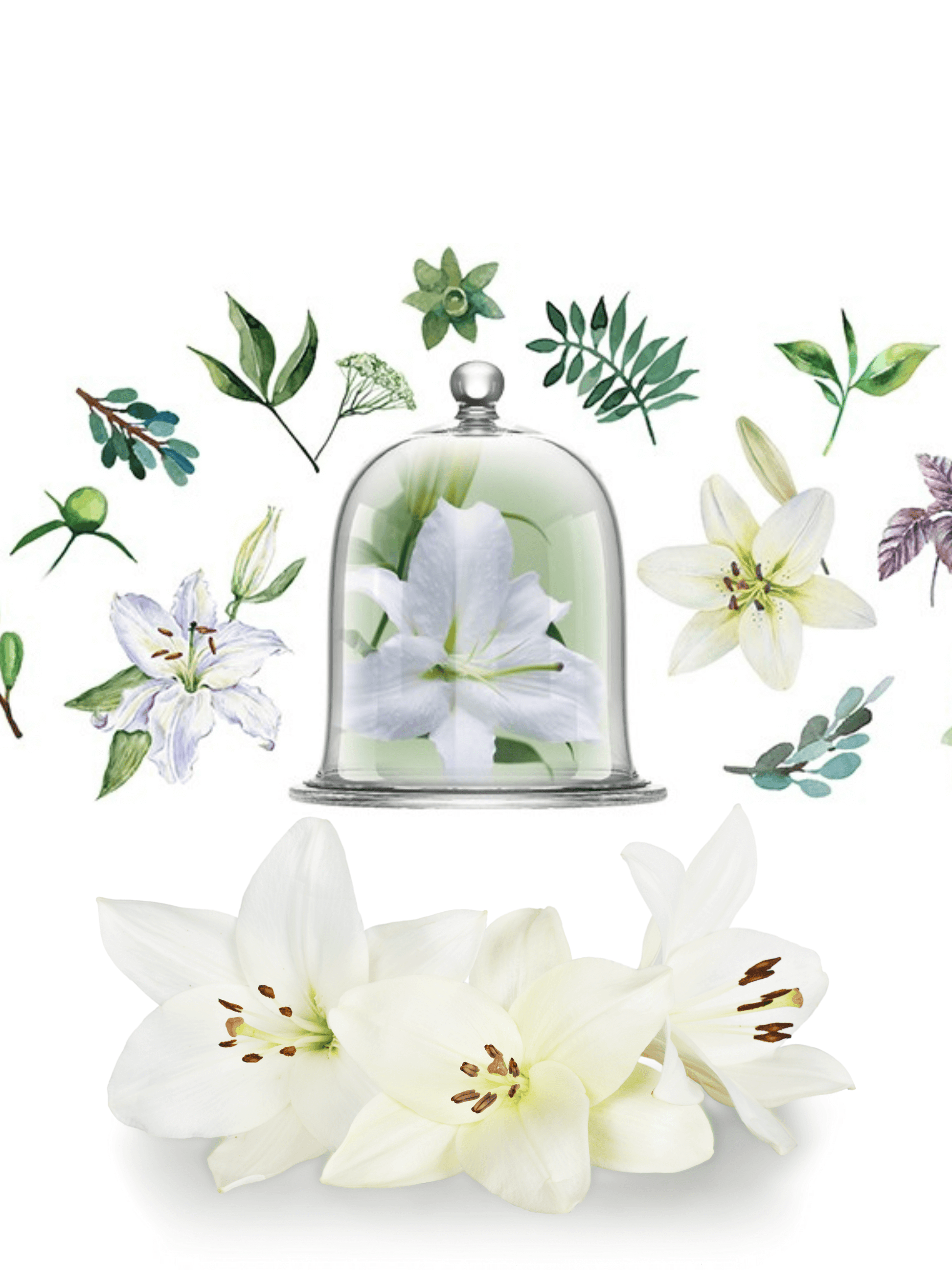 Porcelain Diffuser Fresh Lily Fragrance by Chando 100ml White/Green