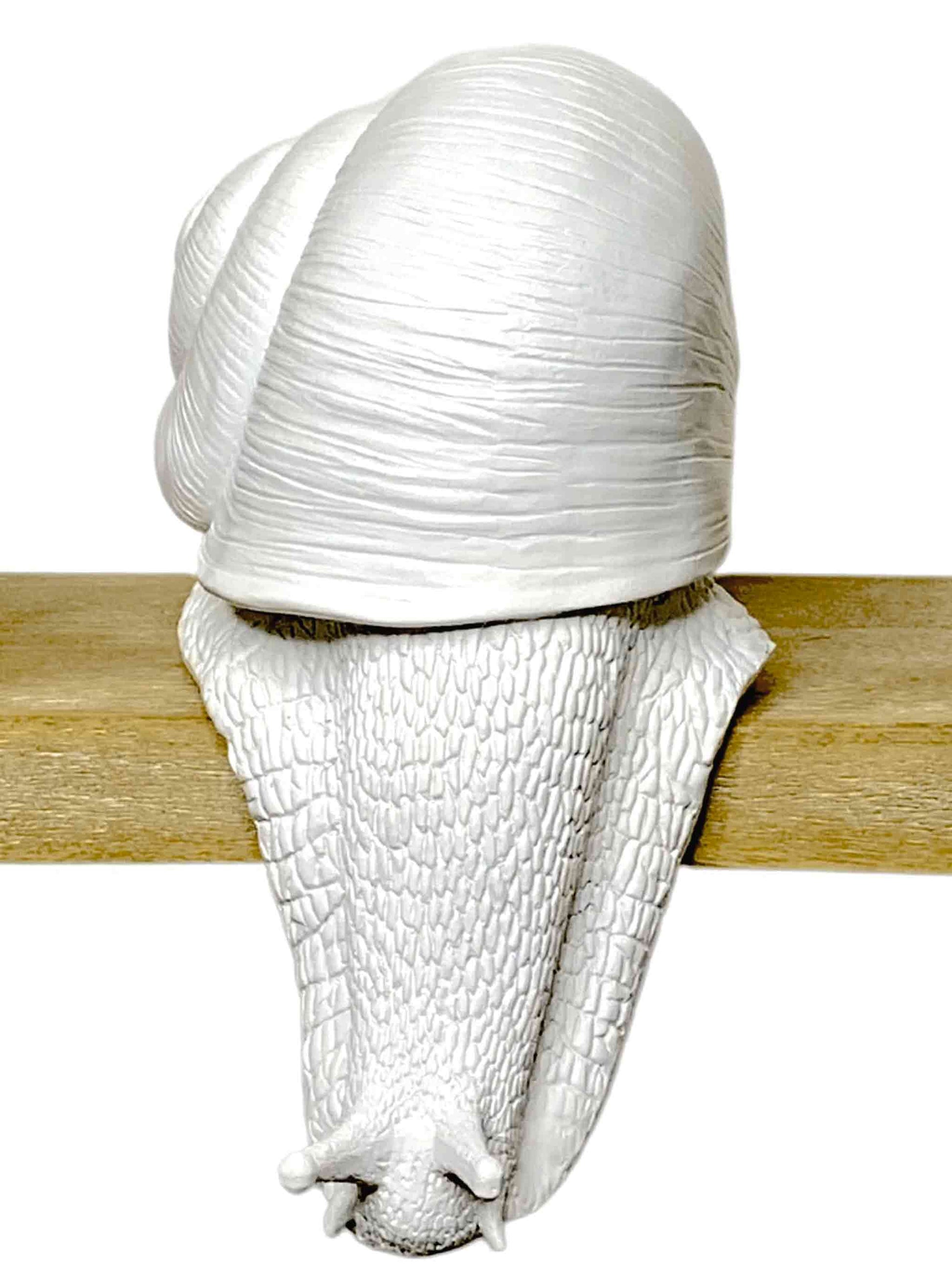 Decorative Sculpture Shelf Snail White Resin 24cm