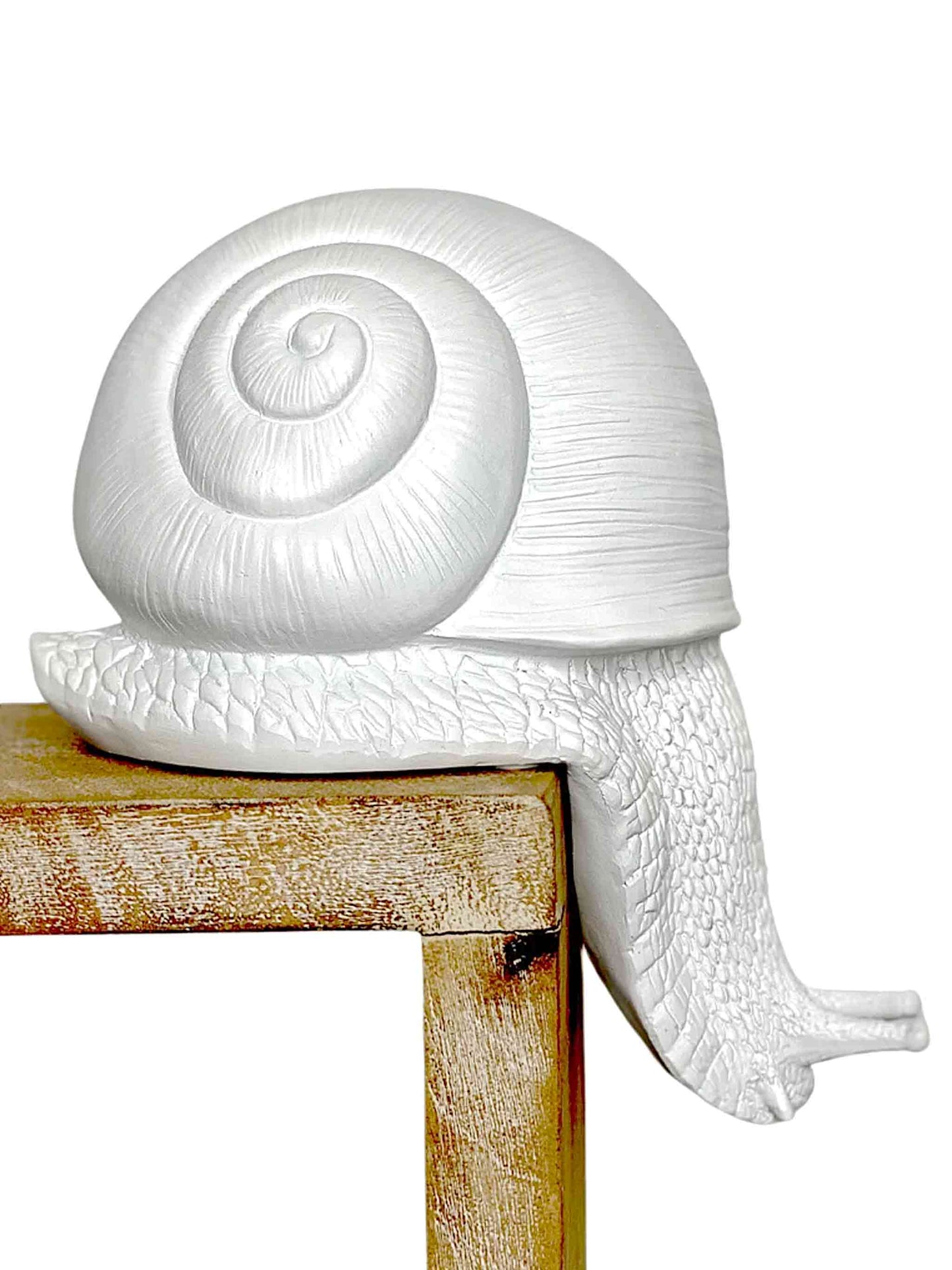 White Resin Shelf Snail Sculpture 24cm